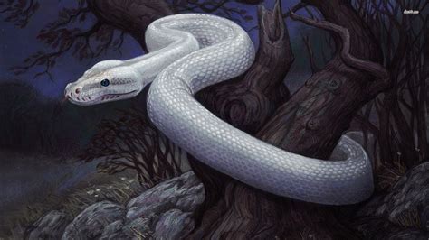  The White Serpent! การผจญภัยสุดพิศวงของอสรพิษสีขาวในตำนานพื้นบ้านบราซิลโบราณ